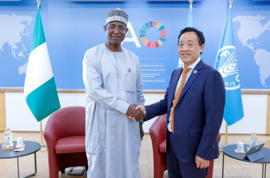 Santé animale Nigéria