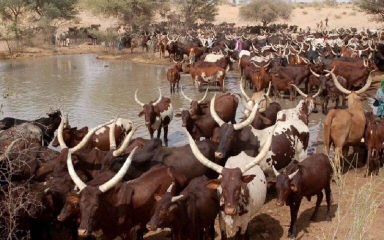 Sécurité alimentaire Nigéria