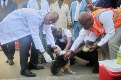 A l’occasion de la célébration de la 19e journée mondiale de lutte contre la Rage, le Ministre des Ressources animales et Halieutiques Sidi Tiémoko Touré a annoncé que le gouvernement ivoirien a offert la vaccination de 20 000 animaux domestiques.