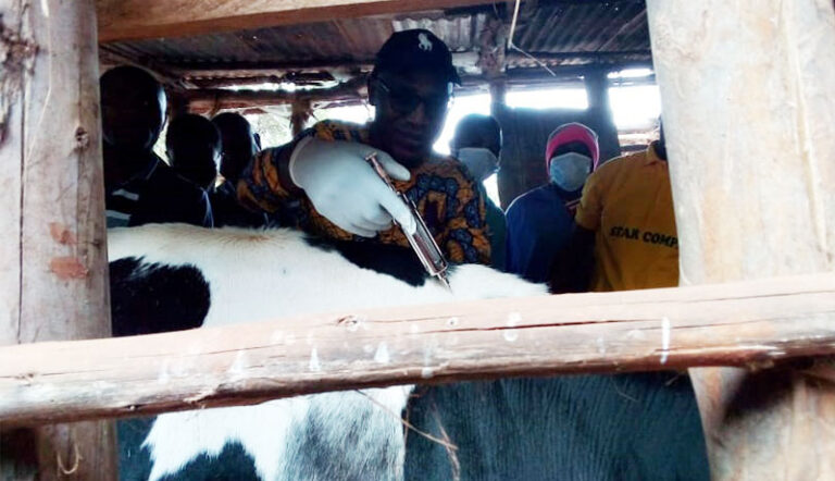 Un projet de plus de 9 millions de dollars pour lutter contre la fièvre de la vallée du Rift en Afrique.