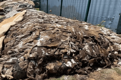 âne saisie Nigéria