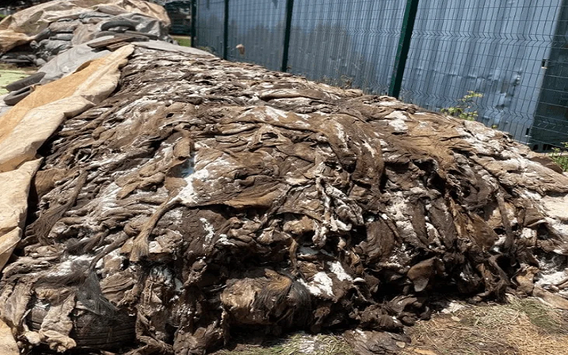 âne saisie Nigéria