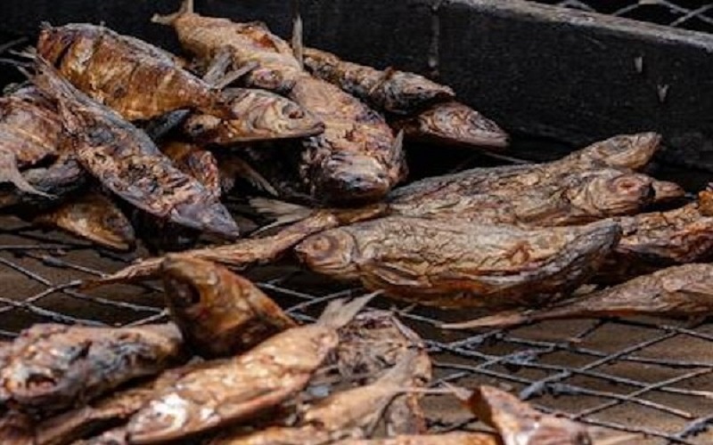 Une étude révèle le rôle du poisson séché dans la lutte contre la malnutrition en Afrique