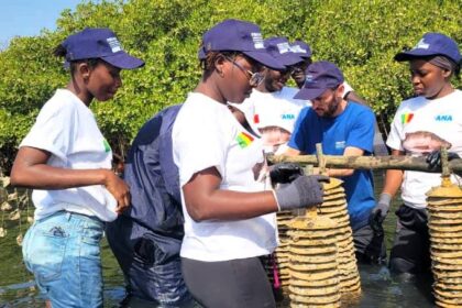 Sénégal/ les membres de la Commission consultative pour l’aquaculture installés