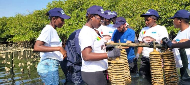 Sénégal/ les membres de la Commission consultative pour l’aquaculture installés