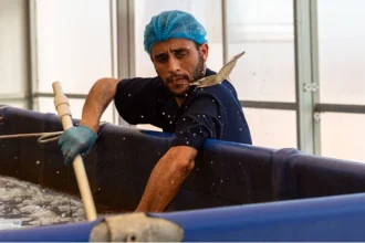 Economie Bleue Maroc