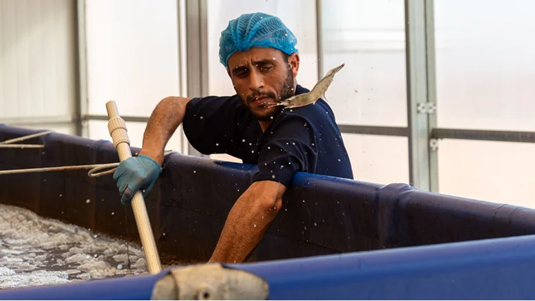 Economie Bleue Maroc