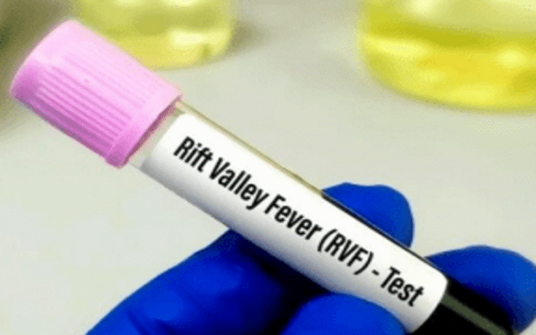 Fièvre de la Vallée du Rift
