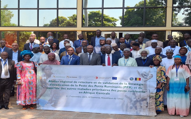 Peste des Petits Ruminants