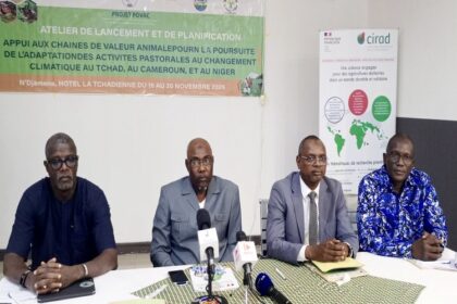 Projet d’Appui aux Chaînes de Valeur Animale