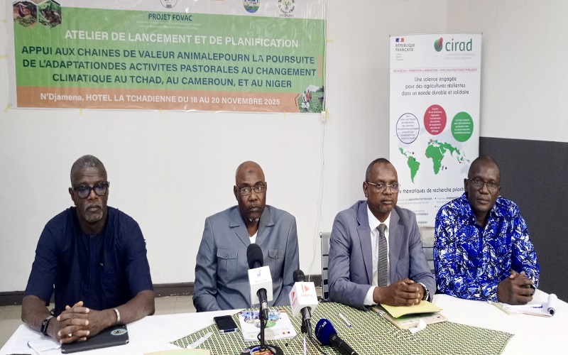 Projet d’Appui aux Chaînes de Valeur Animale