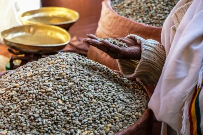 Situation alimentaire mondiale