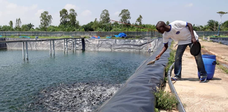 aquaculture Bénin