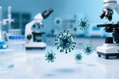 Des cas de grippe aviaire ont été détectés dans plusieurs fermes des Etats-Unis par le Service d'inspection de la santé animale et végétale (APHIS) du département américain de l'Agriculture.