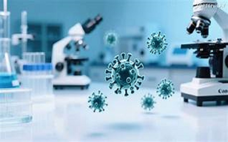 Des cas de grippe aviaire ont été détectés dans plusieurs fermes des Etats-Unis par le Service d'inspection de la santé animale et végétale (APHIS) du département américain de l'Agriculture.