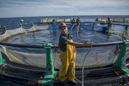 Aquaculture au Maroc