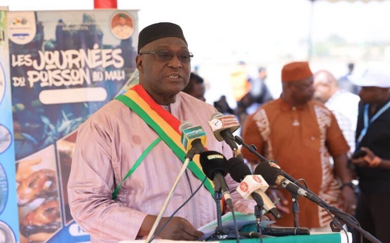 Journées du Poisson Mali