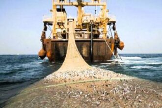 Pêche industrielle Cameroun