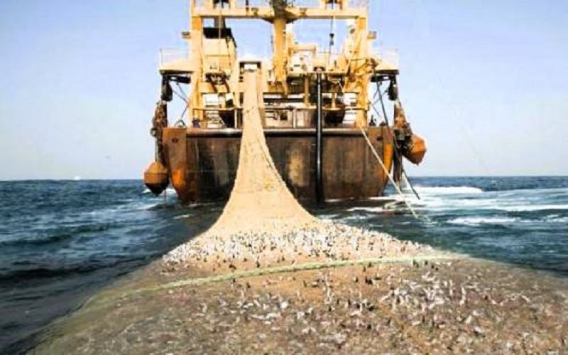 Pêche industrielle Cameroun