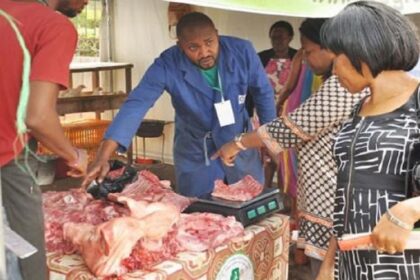 Production de viande Cameroun