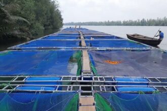 Le gouvernement burkinabé veut renforcer le secteur de la pisciculture en cages flottantes.