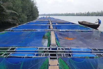 Le gouvernement burkinabé veut renforcer le secteur de la pisciculture en cages flottantes.