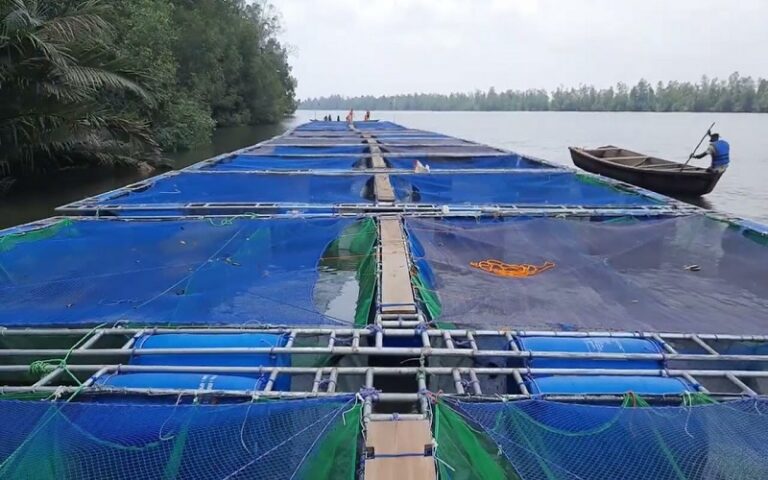 Le gouvernement burkinabé veut renforcer le secteur de la pisciculture en cages flottantes.