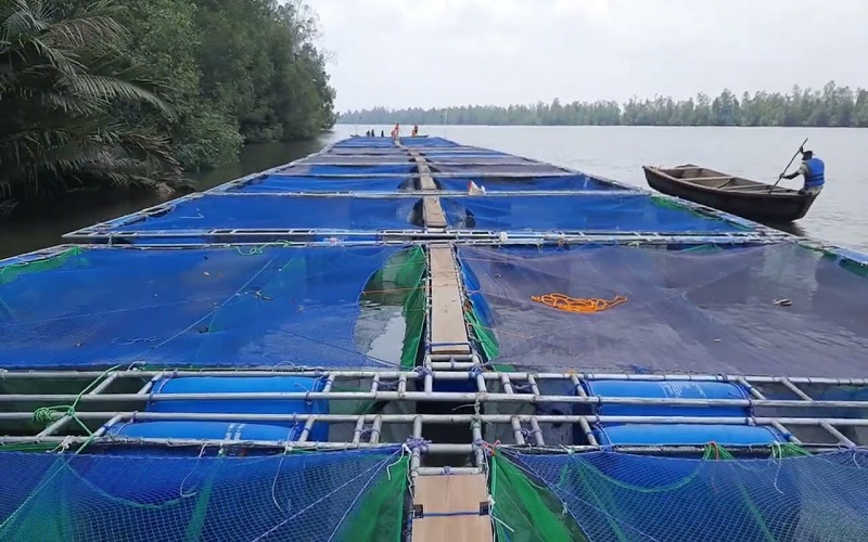 Le gouvernement burkinabé veut renforcer le secteur de la pisciculture en cages flottantes.