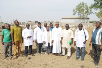 élevage au Nigéria