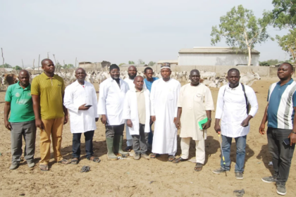 élevage au Nigéria