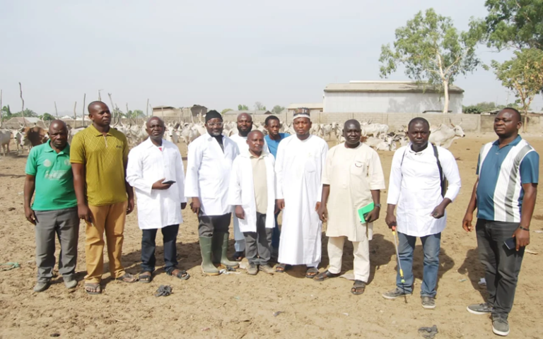 élevage au Nigéria