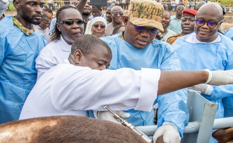 Elevage: des brigades d’insémination artificielle opérationnelles, dans plusieurs localités du Burkina