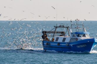 pêche en Méditerranée