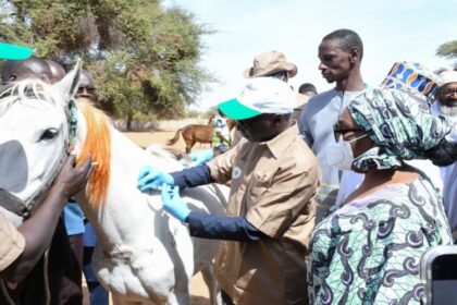 Cheptel 2026 Sénégal