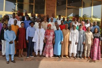 Élevage du Nigéria