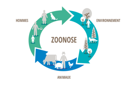 Lutte contre les zoonoses