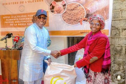 Lancement d’une opération de distribution d’aliments pour pérenniser la filière porcine en Guinée