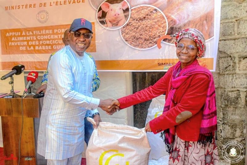 Lancement d’une opération de distribution d’aliments pour pérenniser la filière porcine en Guinée