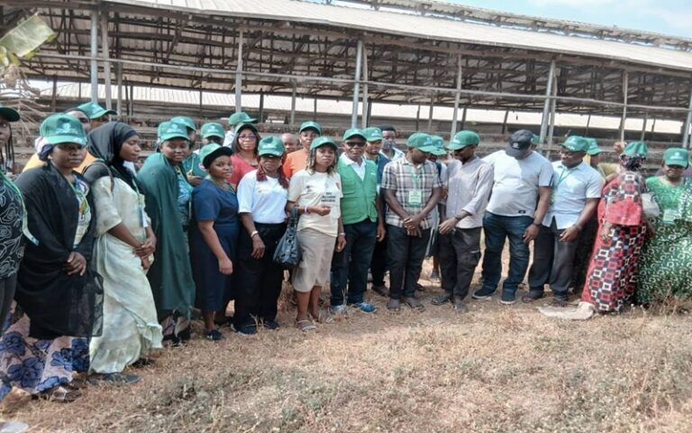 élevage au Nigéria