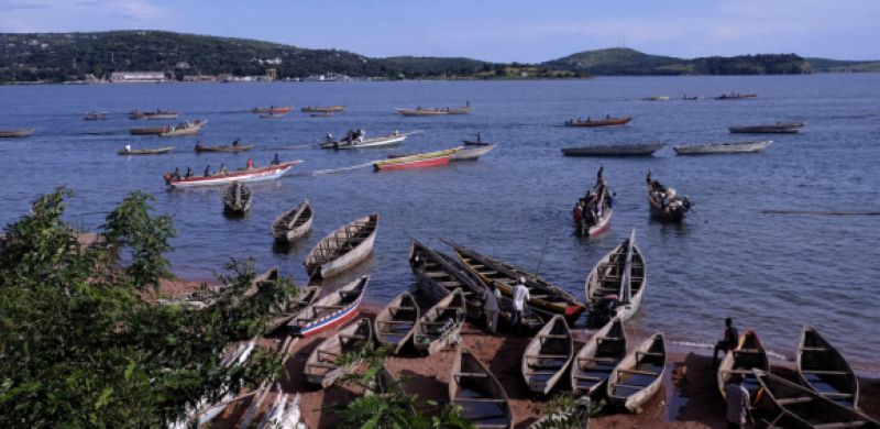 En Zambie, 24 personnes comparaissent devant les tribunaux pour avoir enfreint l'interdiction annuelle de pêche 2025/2026