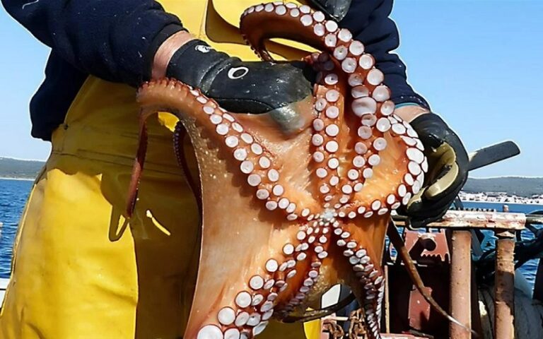 Un lancement encourageant pour la campagne hivernale 2026