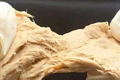 La Chine met au point un champignon au goût de viande, riche en protéines