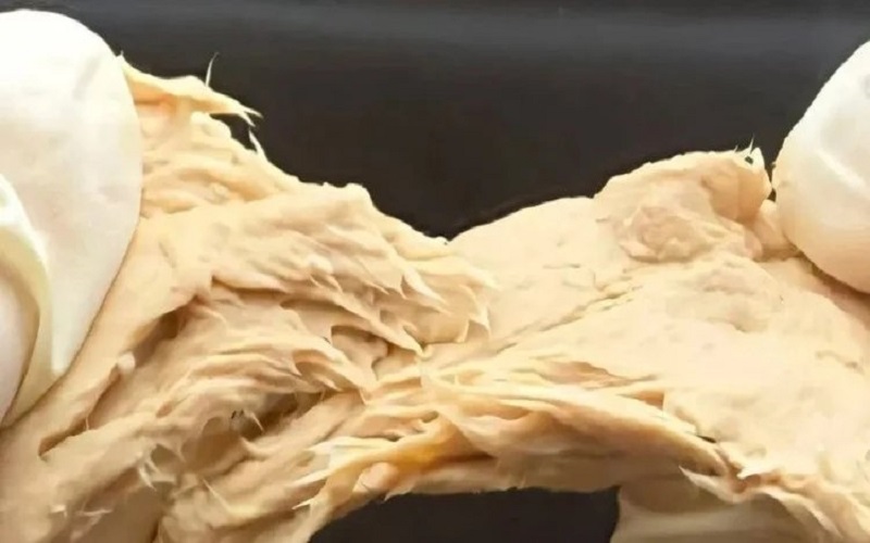 La Chine met au point un champignon au goût de viande, riche en protéines