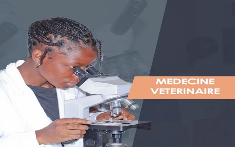 université de Sikasso