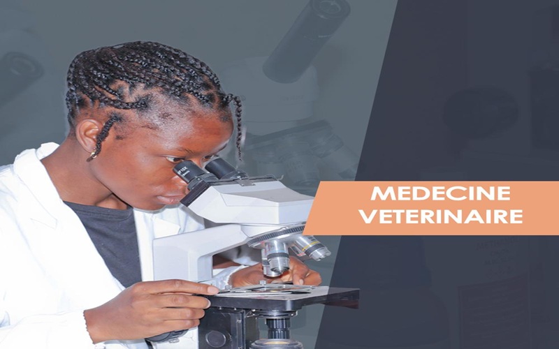 université de Sikasso