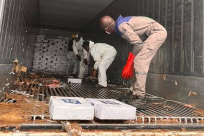 25 tonnes de poulet détruites, l’Agence Gabonaise de sécurité alimentaire renforce les contrôles