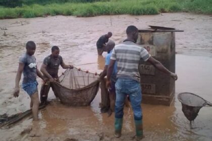 Un atelier de renforcement de capacités a été organisé récemment à l’intention d’agronomes et professionnels de la pisciculture venus des dix régions du Cameroun.