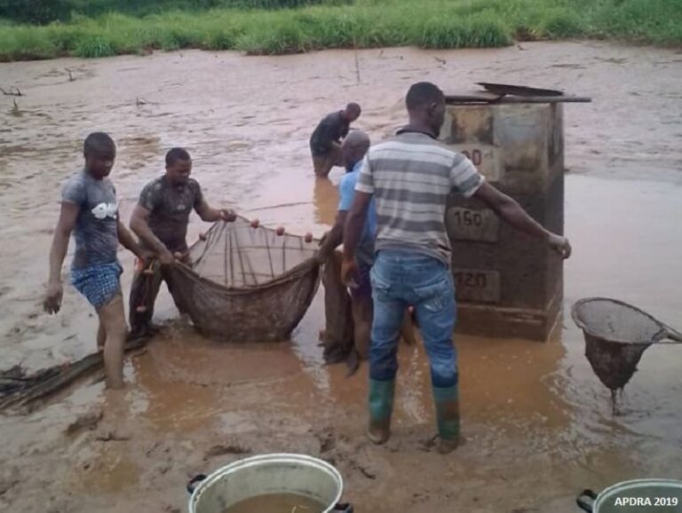 Un atelier de renforcement de capacités a été organisé récemment à l’intention d’agronomes et professionnels de la pisciculture venus des dix régions du Cameroun.