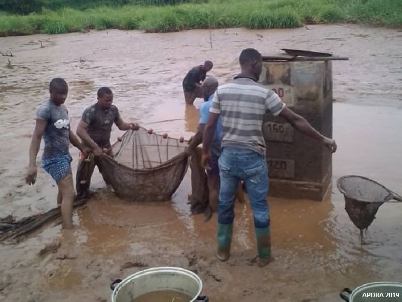 Un atelier de renforcement de capacités a été organisé récemment à l’intention d’agronomes et professionnels de la pisciculture venus des dix régions du Cameroun.