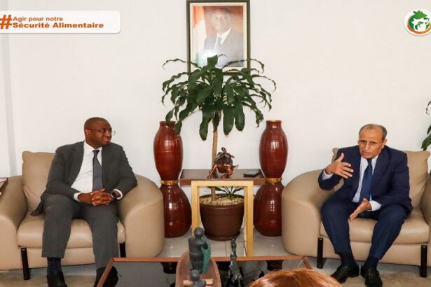 Le MIRAH explore le marché mauritanien pour l’approvisionnement du cheptel en prélude à la Tabaski 2026